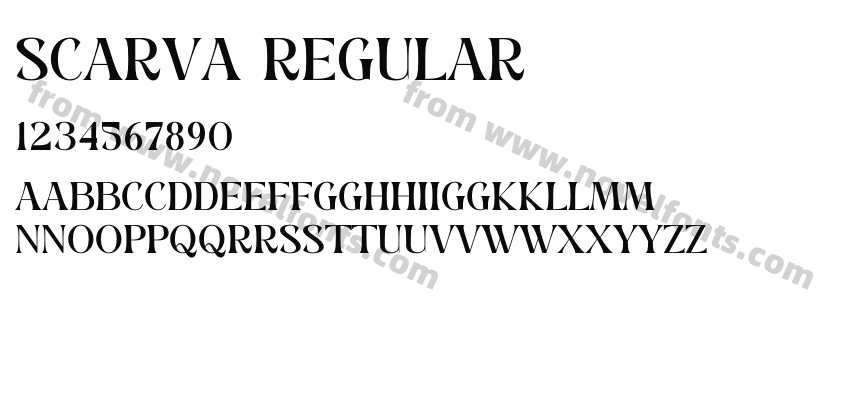 SCARVA RegularPreview
