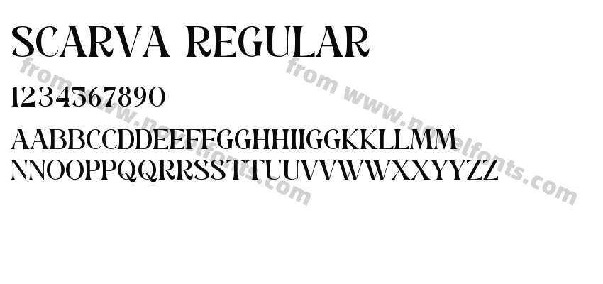 SCARVA RegularPreview