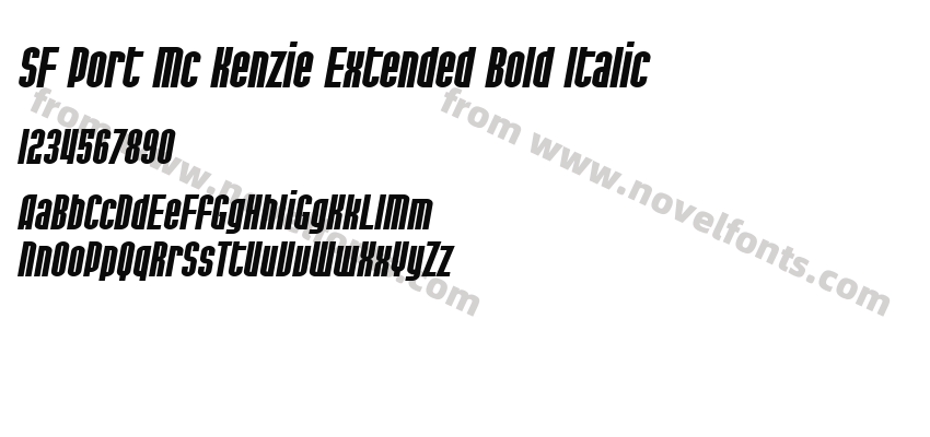 SF Port Mc Kenzie Extended Bold ItalicPreview