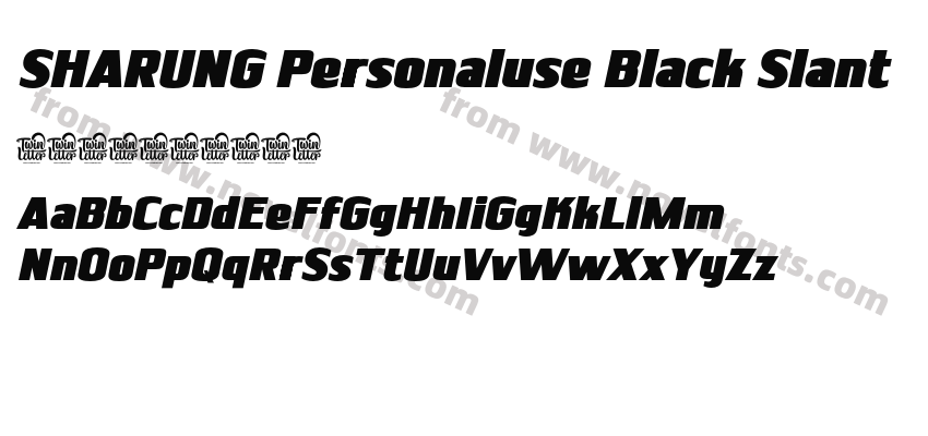 SHARUNG Personaluse Black SlantPreview