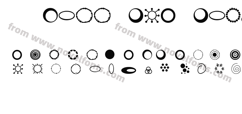 SP Three Ring CircusPreview