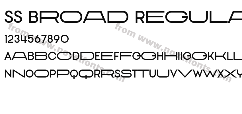 SS Broad RegularPreview