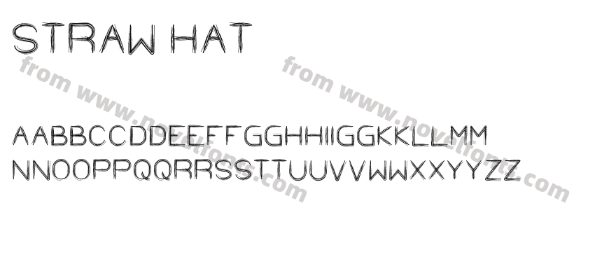 STRAW HATPreview