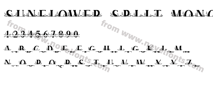 SUNFLOWER SPLIT MONOGRAMPreview