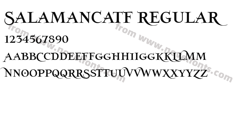 SalamancaTF RegularPreview