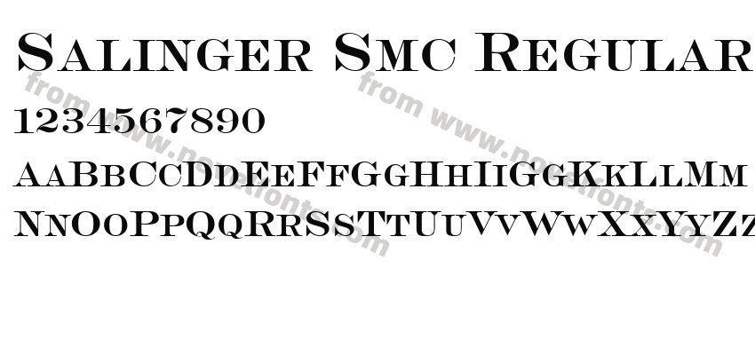 Salinger Smc RegularPreview
