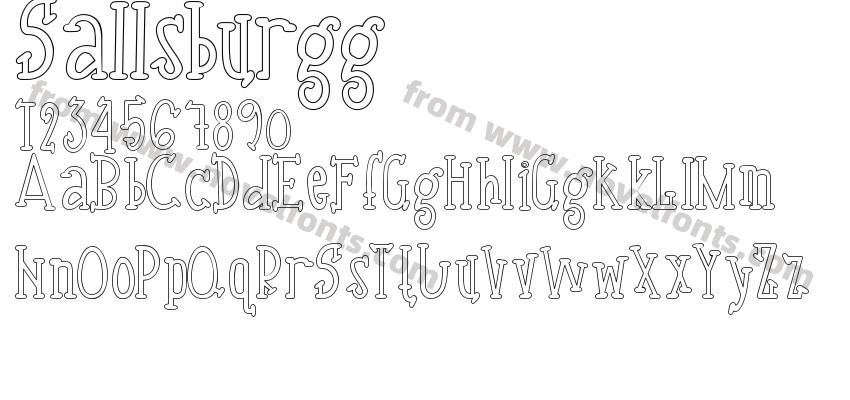 SallsburggPreview