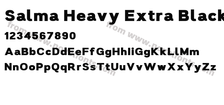 Salma Heavy Extra BlackPreview