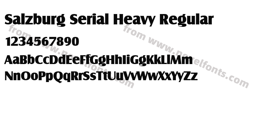 Salzburg Serial Heavy RegularPreview