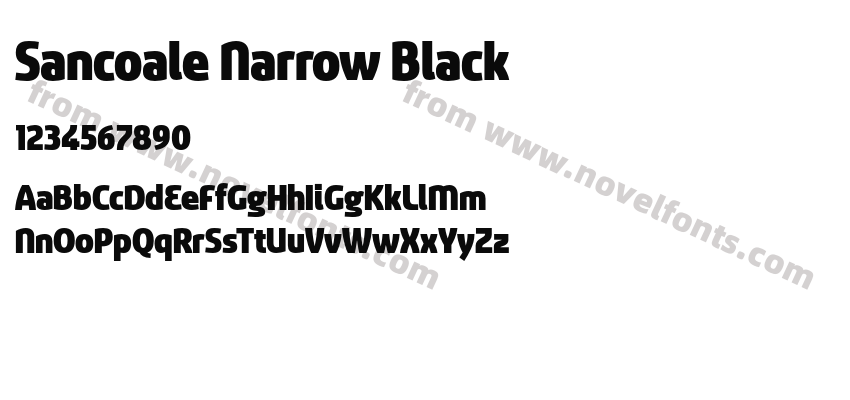 Sancoale Narrow BlackPreview
