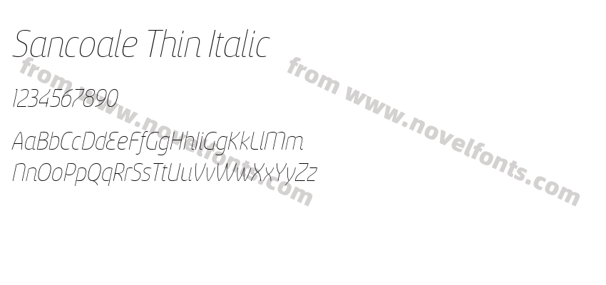 Sancoale Thin ItalicPreview