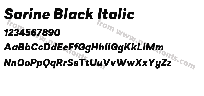 Sarine Black ItalicPreview
