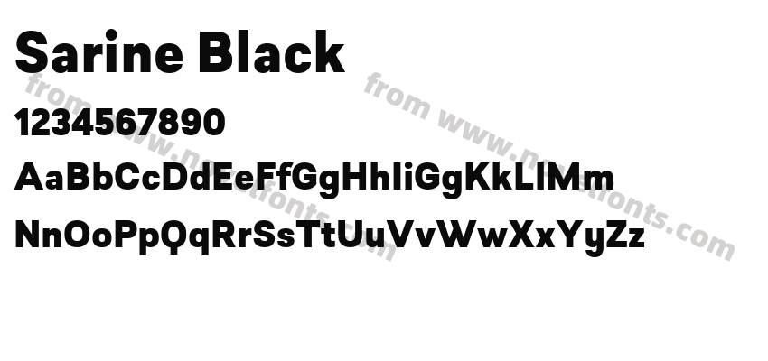 Sarine BlackPreview