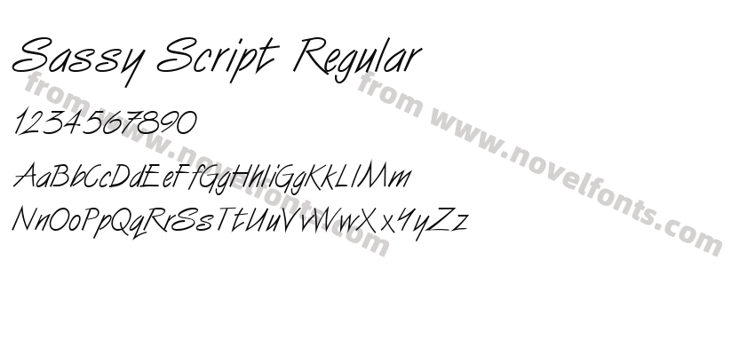 Sassy Script RegularPreview