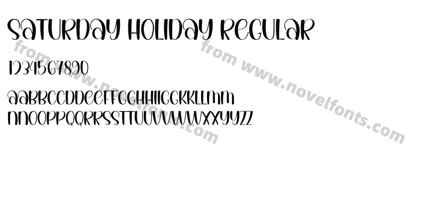 Saturday Holiday RegularPreview