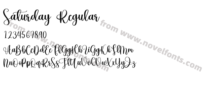 Saturday RegularPreview