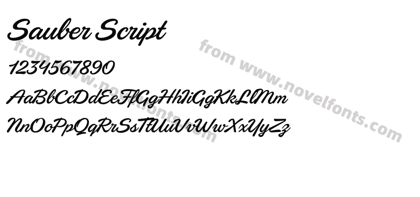 Sauber ScriptPreview