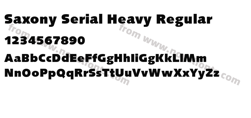 Saxony Serial Heavy RegularPreview