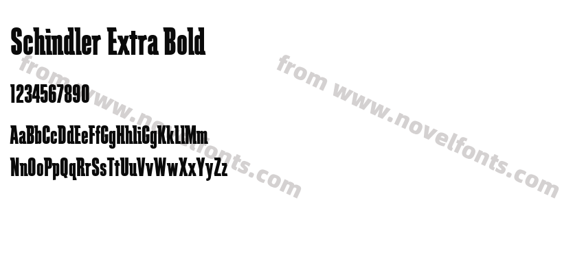 Schindler Extra BoldPreview