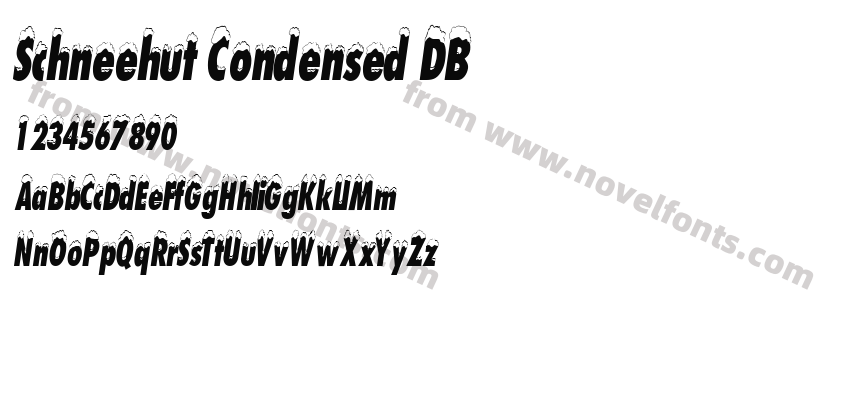 Schneehut Condensed DBPreview