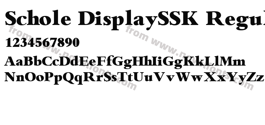 Schole DisplaySSK RegularPreview