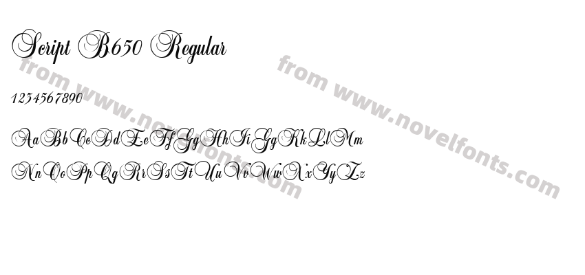 Script B650 RegularPreview