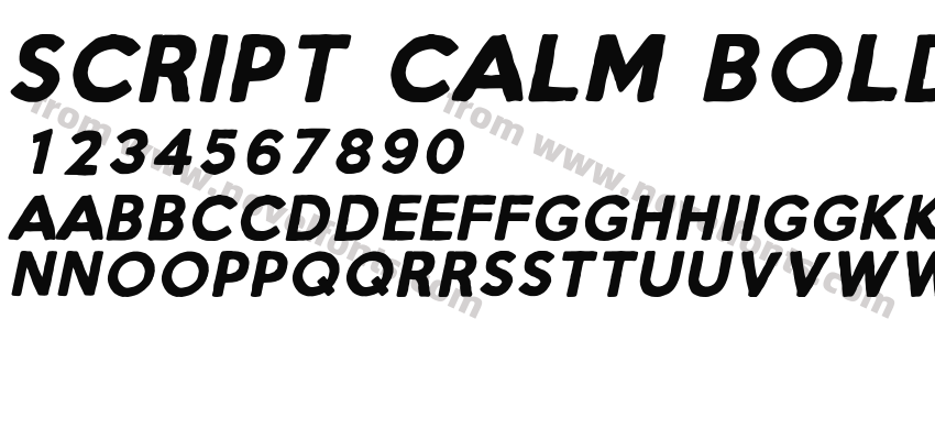 Script Calm Bold ItalicPreview