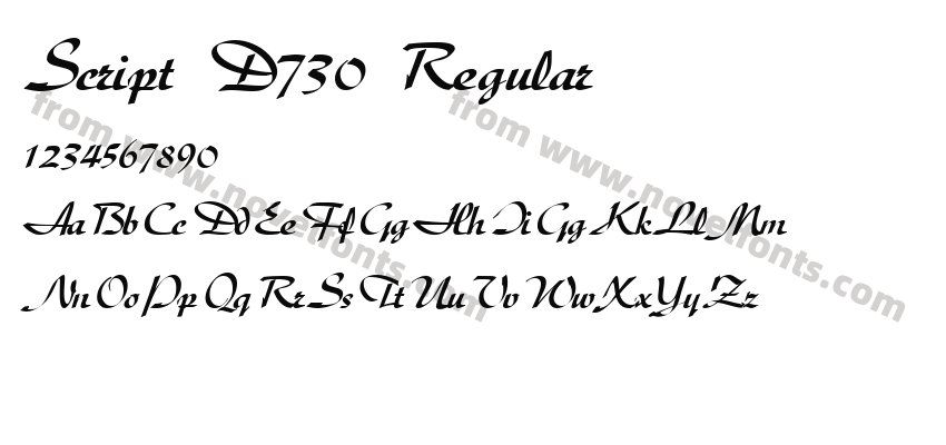 Script D730 RegularPreview