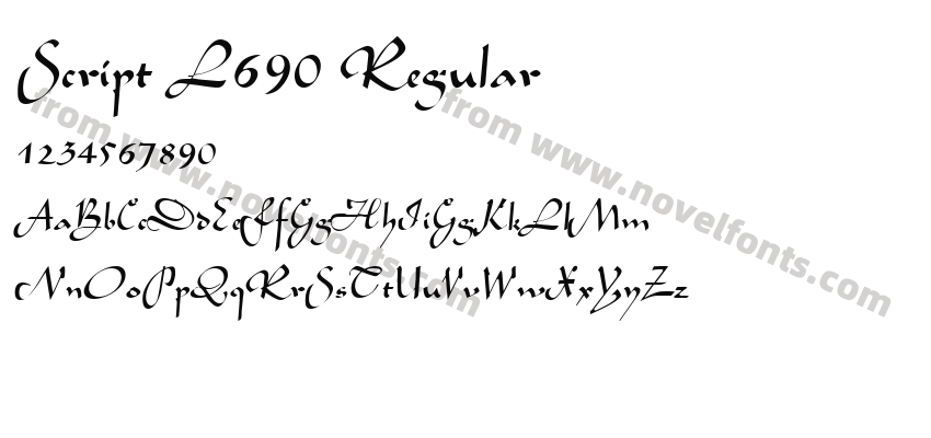 Script L690 RegularPreview