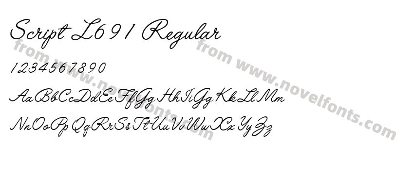 Script L691 RegularPreview