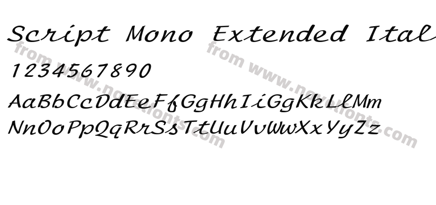 Script Mono Extended ItalicSWFTEPreview