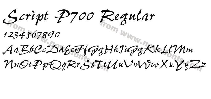 Script P700 RegularPreview