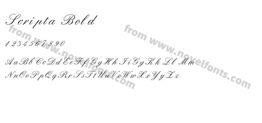 Scripta BoldPreview