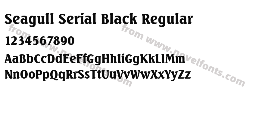 Seagull Serial Black RegularPreview