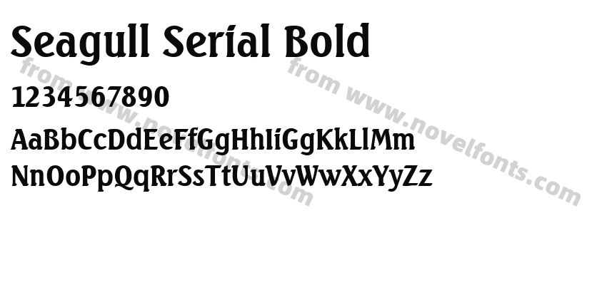 Seagull Serial BoldPreview