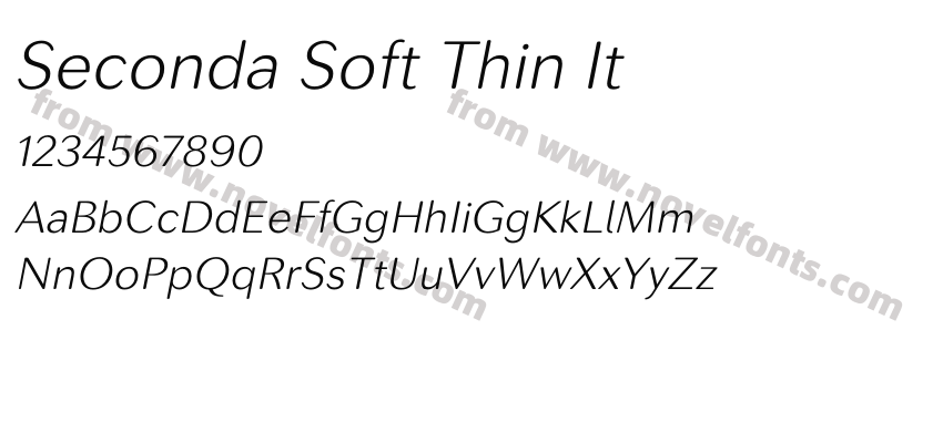 Seconda Soft Thin ItPreview