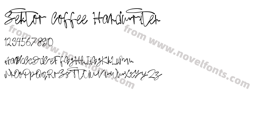 Sektor Coffee HandwritenPreview