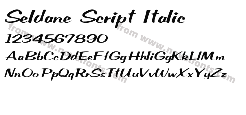 Seldane Script ItalicPreview