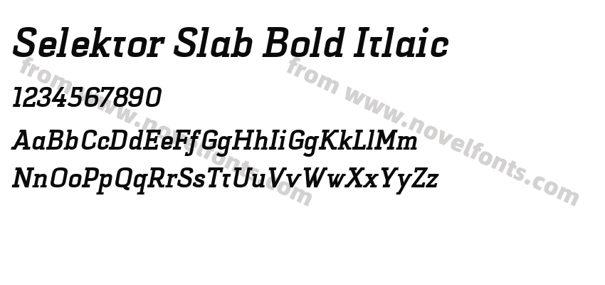 Selektor Slab Bold ItlaicPreview