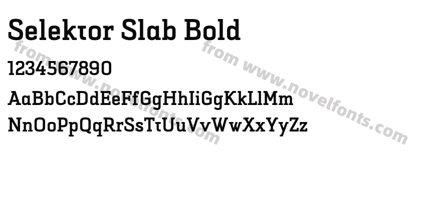 Selektor Slab BoldPreview