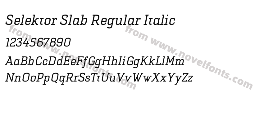 Selektor Slab Regular ItalicPreview