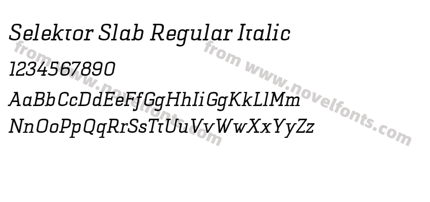 Selektor Slab Regular ItalicPreview