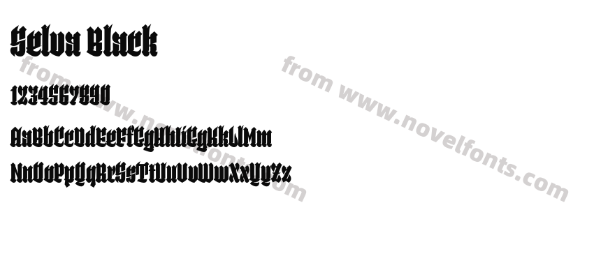 Selva BlackPreview