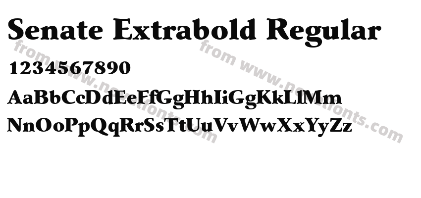 Senate Extrabold RegularPreview