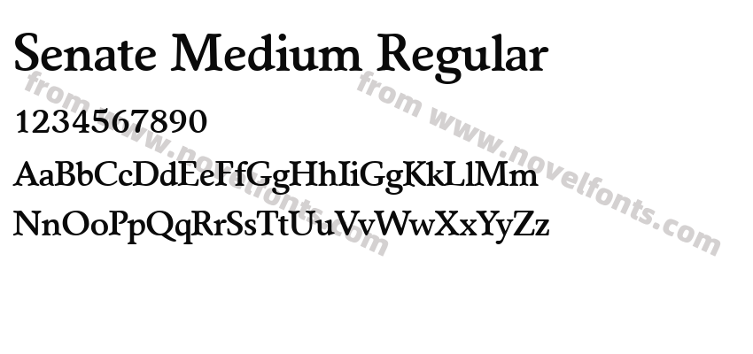 Senate Medium RegularPreview