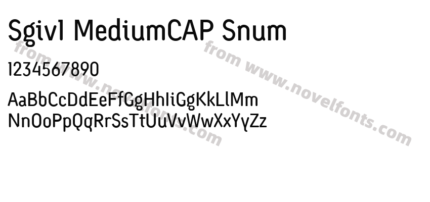 Sgiv1 MediumCAP SnumPreview