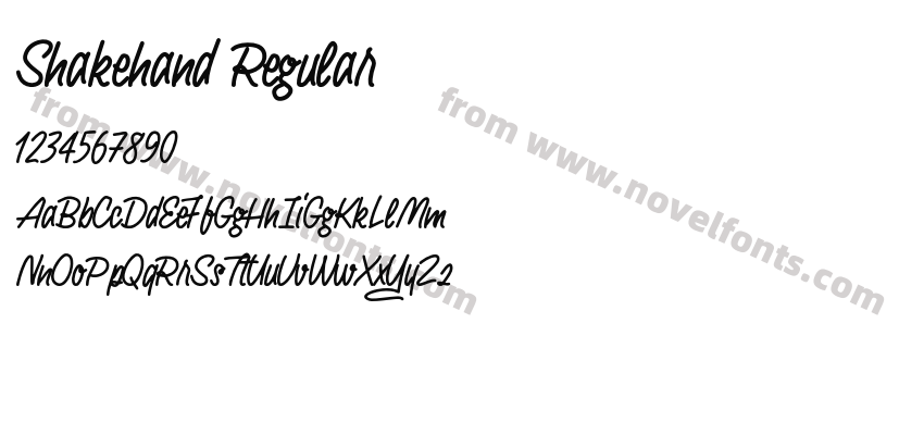 Shakehand RegularPreview