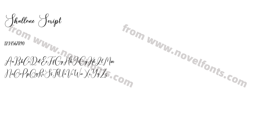 Shallone ScriptPreview