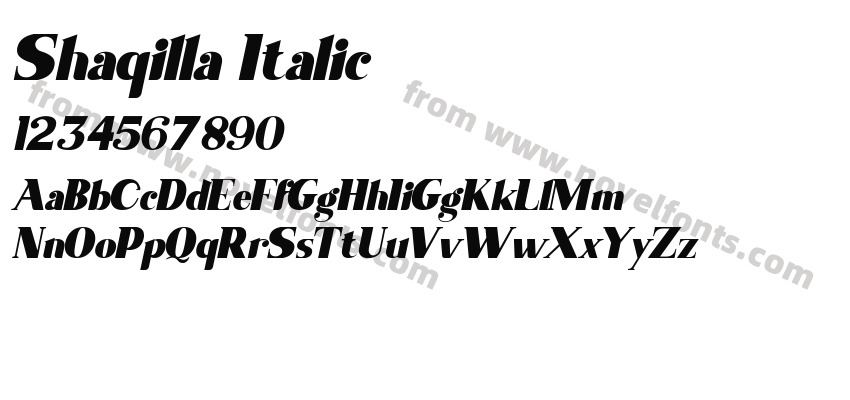 Shaqilla ItalicPreview