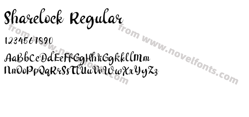 Sharelock RegularPreview